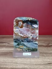 Mix red opalized petrified wood polished with base 1030gr 7x9x12cm (44) picture