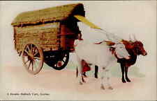 Postcard: A Double Bullock Cart, Ceylon. picture