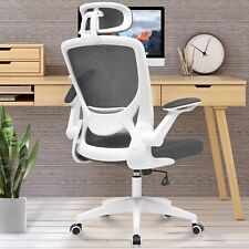 Ergonomic Office Chair, Lumbar Support Computer Chair with Headrest Flip-up Arms picture