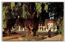 Oceanside CA Mission San Luis Rey Chrome Postcard Posted 1968 picture