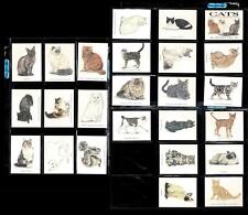 1990's Full Set 24/24 Golden Era CATS Trading Cards - Cat Cards - ALL MINT picture