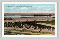 Seattle WA-Washington, Scenic Agricultural and Fruit Raising, Vintage Postcard picture