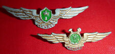 Very Rare - 2 x VIET CONG AIR BADGE - PILOT and AIR CREW - Vietnam War - M.491 picture