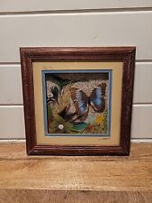 Wood Frame Real Butterfly Blue Morpho Costa Rica Taxidermy Art Signed 12×12 Fram picture