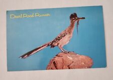 Postcard Desert Road Runner Bird 1970 picture