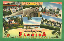 Postcard Greetings From Florida Lower Gulf Coast Florida FL picture