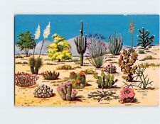 Postcard Cacti and Desert Flora of the Great Southwest picture