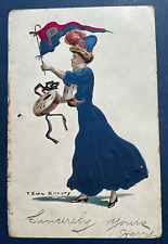 University Lady w SILK Postcard. Princeton. Artist: Christy. PUBL:Illustrated picture