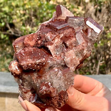 1.06LB Natural Rare special chocolate calcite quartz crystal healing specimen picture