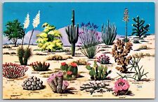 Postcard Cacti Desert Flora Great SW Ironwood Yucca Saguaro Organ Pipe UNP VTG picture
