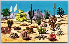 Cacti Desert Flora Great SW Ironwood Palo Verde Saguaro Organ Pipe Postcard UNP picture