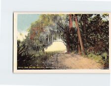Postcard Royal Oak On The Halifax, Daytona, Florida picture