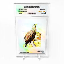 WHITE-TAILED SEA EAGLE Art Card 2023 GleeBeeCo Holo Creatures #WBFD-L /49 picture