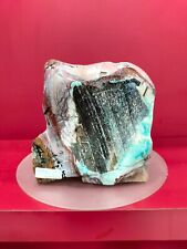 Rare special mix blue petrified wood with picture polished 1019gr (13x12x4cm) picture