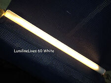 Traditional LUMILINE LED UPGRADE~5th GENERATION Bulb~Similar Lite~Superior Life picture