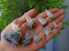 Lot Of Pointed Calcite Crystals ( 8 NOS ) Minerals Specimen #H8 picture