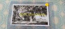 ECU VINTAGE PHOTOGRAPH Spencer Lionel Adams SKANEATELES NY HOUSE TREES 9-22-43 picture