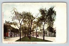 Chicago IL, Grand Boulevard, 51st Street, Illinois Vintage Postcard picture