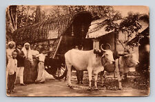 Double Bullock Ox Cart Wagon & Men Posing Ceylon Sri Lanka Postcard picture