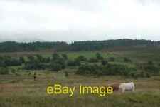 Photo 6x4 Pasture at Mace South Aille/M0780 Cattle pasture in the lower  c2008 picture