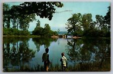Postcard Lily Pond Presque Isle State Park Erie Pennsylvania      G 18 picture