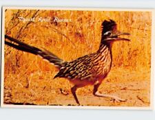 Postcard The Roadrunner Clown of the West picture