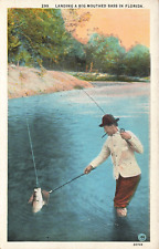 LP55  Florida  Fishing Big Mouth Bass Fish 1925 Postcard picture