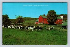 Monroe WI-Wisconsin, Scenic Greetings, Cattle Grazing, Vintage c1984 Postcard picture