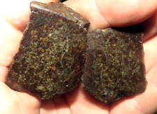 80 Gm GOLD BASIN  METEORITE  PAIR, POLISHED, HIGH GRADE ARIZONA  STAND INCLUDED picture