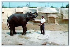 Rock Island Illinois Postcard John Flinchpaugh Asiatic Elephant Quad City c1984 picture
