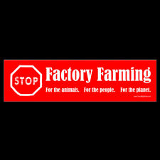 Stop Factory Farming BUMPER STICKER or MAGNET for animals people planet vegan picture