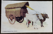 Postcard A Double Bullock Cart Ceylon Vintage Plate's 