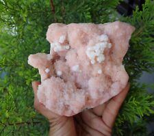 Apophyllite Crystals On Light Pink Chalcedony Matrix Minerals Specimen #H4 picture