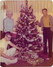 1970's Christmas Tree FOUND PHOTO Color  Original VINTAGE  01 30 P picture
