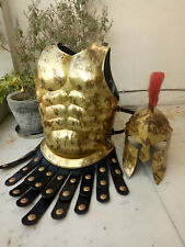 Collectible Muscle Armor Jacket W/300 King Spartan Helmet Larp Halloween Costume picture