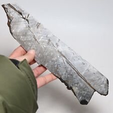 334g Muonionalusta meteorite part slice  A2562 picture