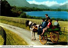 CONTINENTAL SIZE POSTCARD TRADITIONAL JAUNTING CAR LOWER LAKE KILLARNEY IRELAND picture