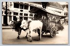 RPPC Bullocks Pulling a Covered Wagon In Town VINTAGE Postcard picture