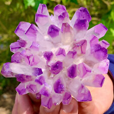 396G New Find purple PhantomQuartz Crystal Cluster MineralSpecimen picture