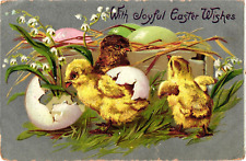 Tuck's Baby Chicks WITH JOYFUL EASTER WISHES Embossed Postcard picture