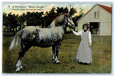 1911 A Wisconsin Heavy Weight White Horse Jefferson Wisconsin WI Postcard picture