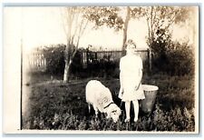 c1910's Mary Had A Little Lamb Eating Grass RPPC Photo Unposted Antique Postcard picture