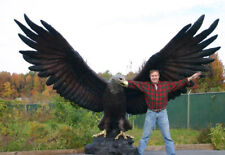 EAGLE BRONZE GIANT MONUMENT hawk raptor STATUE  12' WINGSPAN VFW memorial 50%off picture
