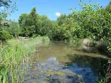 Photo 6x4 The larger pond, Denso Marston nature reserve Baildon Full of t c2019 picture