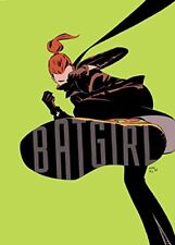 BATGIRL: YEAR ONE DELUXE EDITION By Chuck Dixon - Hardcover Excellent Condition picture