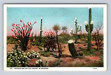 AZ-Arizona, Springtime On The Desert, Flowering Cactus, Antique Vintage Postcard picture