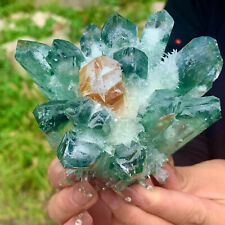 396G New Find Green Phantom Quartz Crystal Cluster Mineral Specimen    picture