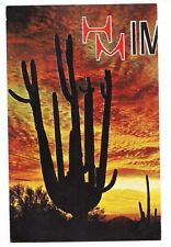 SAGUARO ORGAN PIPE CACTUS Sunset HMIM Arizona Postcard AZ ERROR BACK SIDE picture