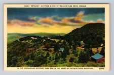 Skyline Drive VA-Virginia, Skyland, Antique, Vintage Souvenir Postcard picture