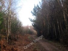 Photo 6x4 Hurst Wood Comp On bridleway towards the B2016. c2010 picture